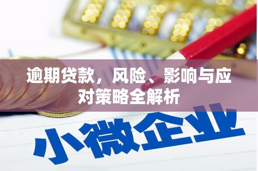 武平逾期贷款，风险、影响与应对策略全解析