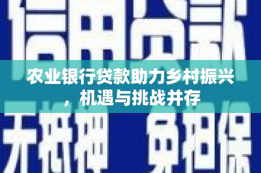 武平农业银行贷款助力乡村振兴，机遇与挑战并存