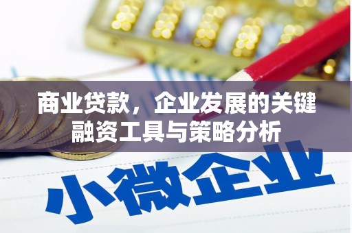 武平商业贷款，企业发展的关键融资工具与策略分析