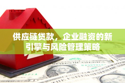 武平供应链贷款，企业融资的新引擎与风险管理策略
