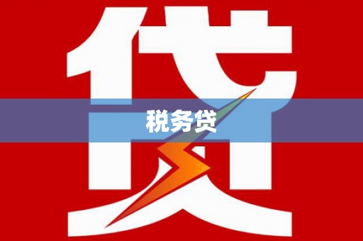 武平税务贷