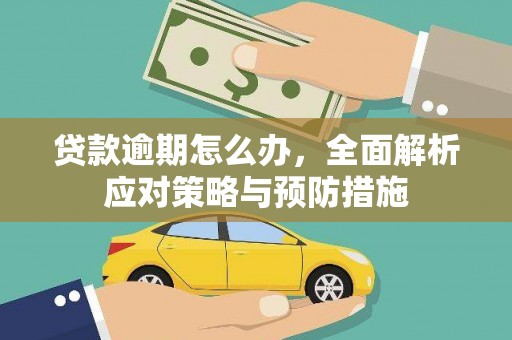武平贷款逾期怎么办，全面解析应对策略与预防措施