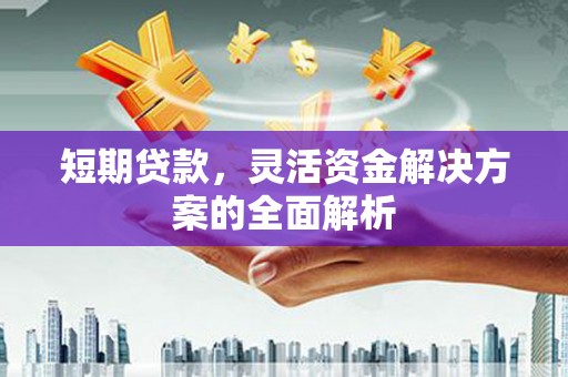 武平短期贷款，灵活资金解决方案的全面解析