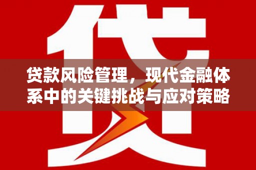 武平贷款风险管理，现代金融体系中的关键挑战与应对策略