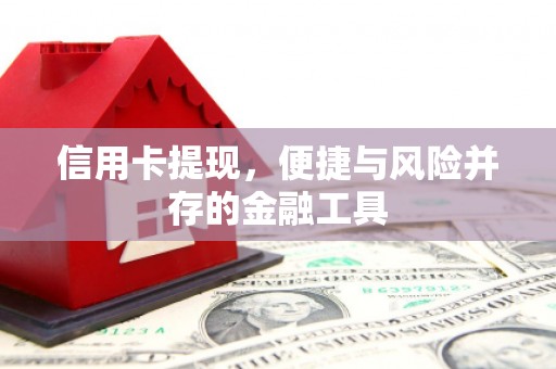 武平信用卡提现，便捷与风险并存的金融工具