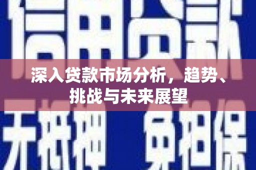 武平深入贷款市场分析，趋势、挑战与未来展望