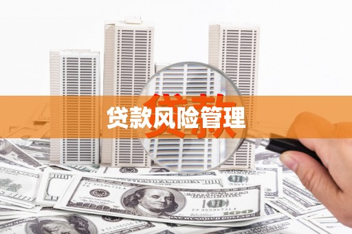 武平贷款风险管理
