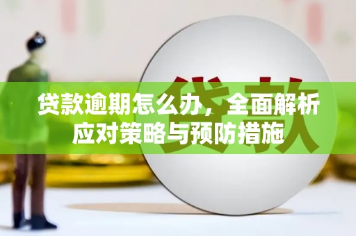 武平贷款逾期怎么办，全面解析应对策略与预防措施