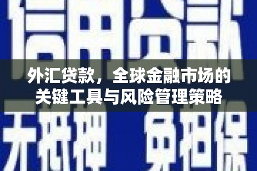 武平外汇贷款，全球金融市场的关键工具与风险管理策略