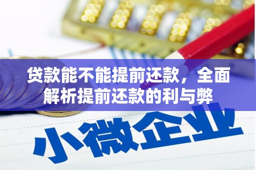 武平贷款能不能提前还款，全面解析提前还款的利与弊