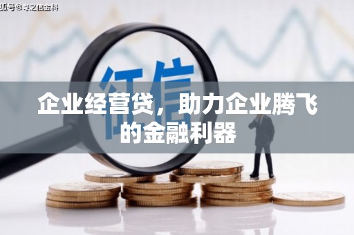 武平企业经营贷，助力企业腾飞的金融利器