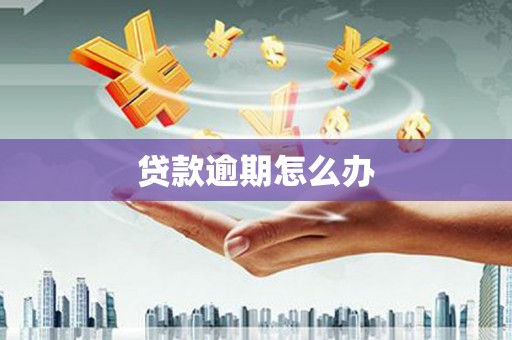 武平贷款逾期怎么办