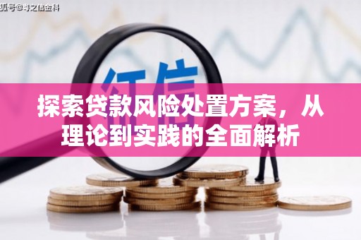 武平探索贷款风险处置方案，从理论到实践的全面解析