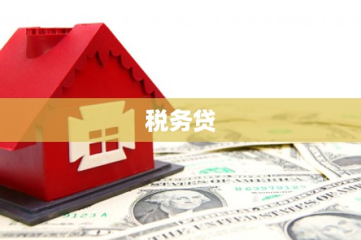 武平税务贷