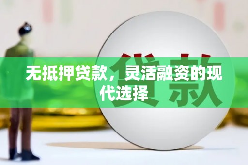 武平无抵押贷款，灵活融资的现代选择