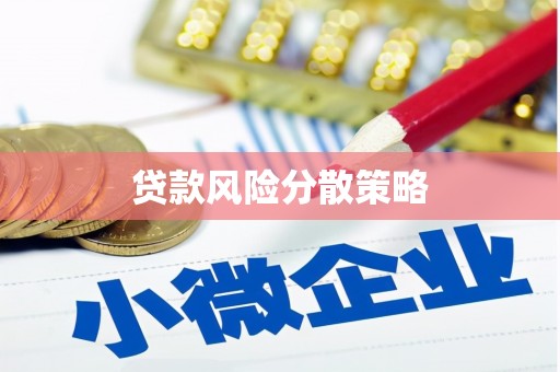武平贷款风险分散策略