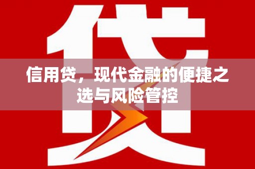 武平信用贷，现代金融的便捷之选与风险管控