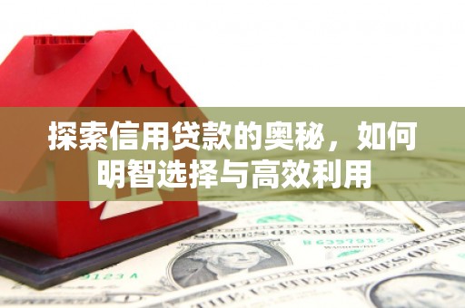 武平探索信用贷款的奥秘，如何明智选择与高效利用