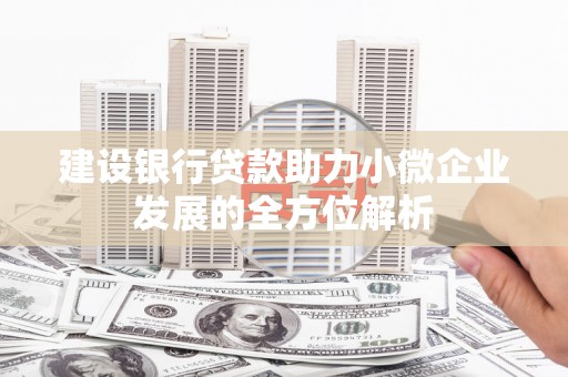 武平建设银行贷款助力小微企业发展的全方位解析