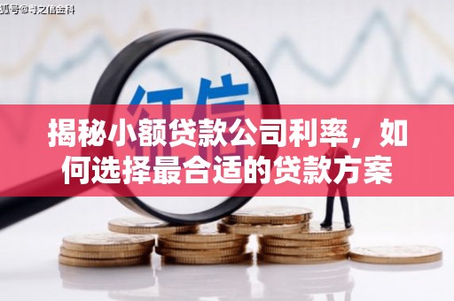 武平揭秘小额贷款公司利率，如何选择最合适的贷款方案
