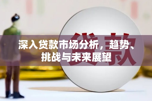 武平深入贷款市场分析，趋势、挑战与未来展望