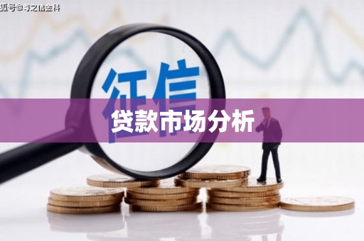 武平贷款市场分析