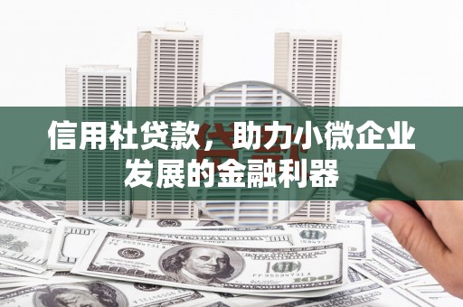 武平信用社贷款，助力小微企业发展的金融利器