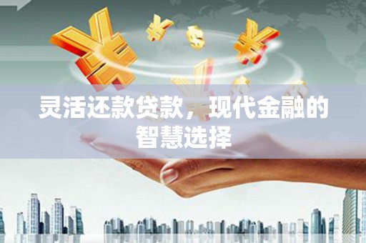 武平灵活还款贷款，现代金融的智慧选择