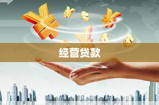 武平经营贷款