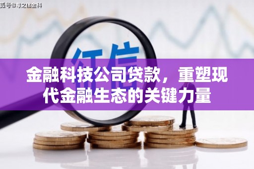 武平金融科技公司贷款，重塑现代金融生态的关键力量