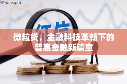 武平微粒贷，金融科技革新下的普惠金融新篇章
