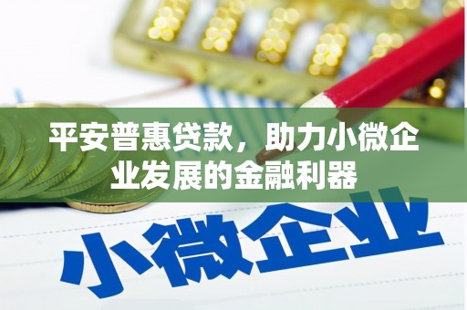 武平平安普惠贷款，助力小微企业发展的金融利器