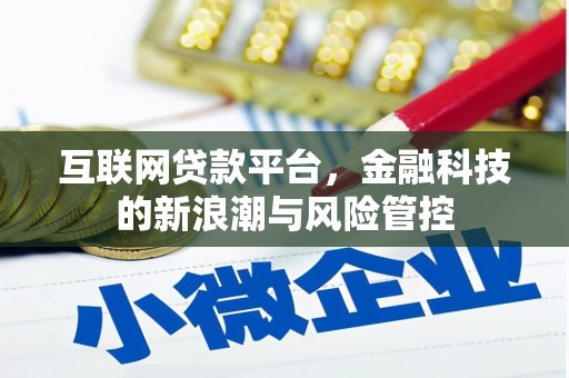 武平互联网贷款平台，金融科技的新浪潮与风险管控