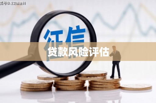 武平贷款风险评估