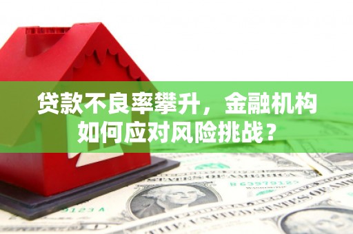 武平贷款不良率攀升，金融机构如何应对风险挑战？