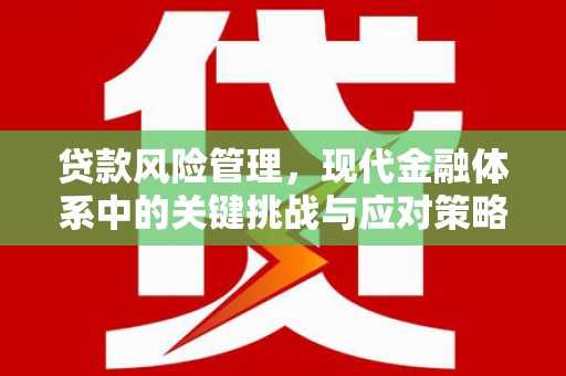 武平贷款风险管理，现代金融体系中的关键挑战与应对策略
