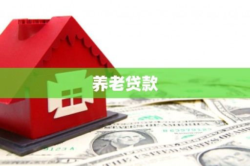 武平养老贷款