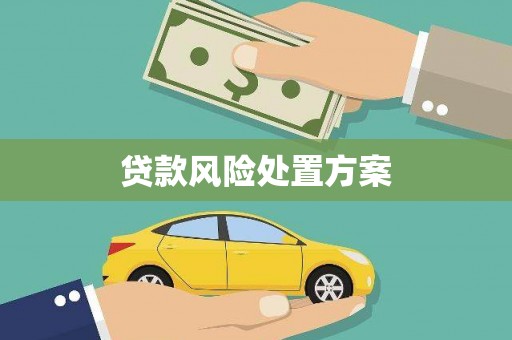 武平贷款风险处置方案