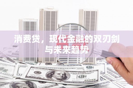 武平消费贷，现代金融的双刃剑与未来趋势