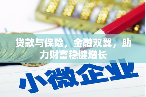 武平贷款与保险，金融双翼，助力财富稳健增长