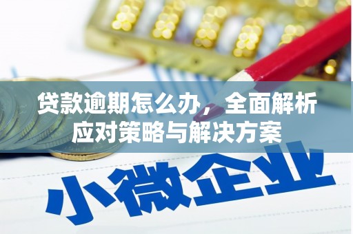 武平贷款逾期怎么办，全面解析应对策略与解决方案