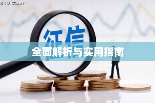 武平全面解析与实用指南