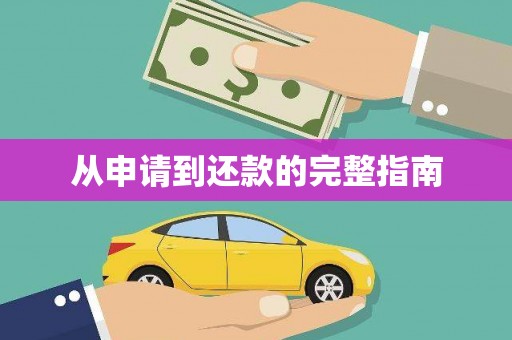 武平从申请到还款的完整指南