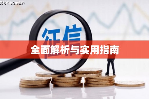 武平全面解析与实用指南