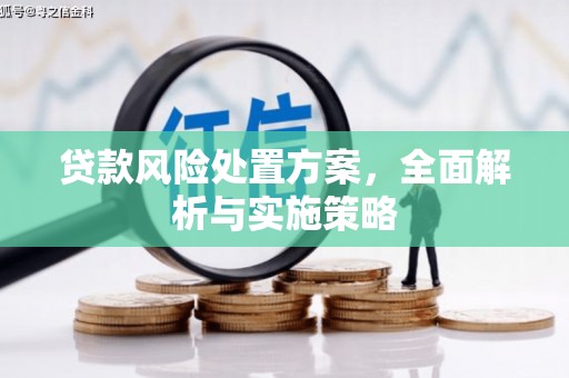 武平贷款风险处置方案，全面解析与实施策略