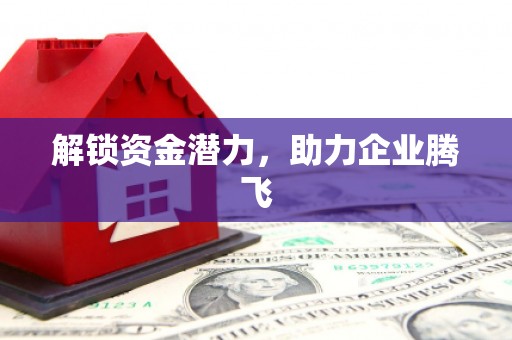 武平解锁资金潜力，助力企业腾飞