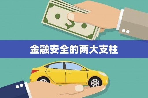 武平金融安全的两大支柱